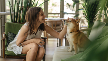 Winter Care for Dogs: Protecting Paws, Coats & Health During Cold Months