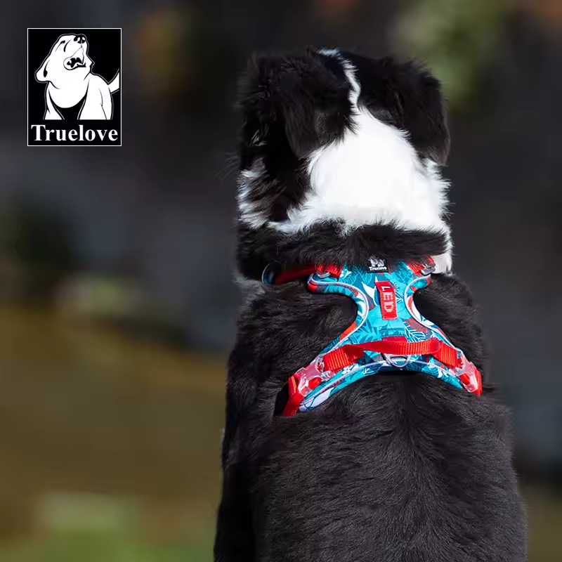 Adjustable Dog Harness for Small to Large Pets