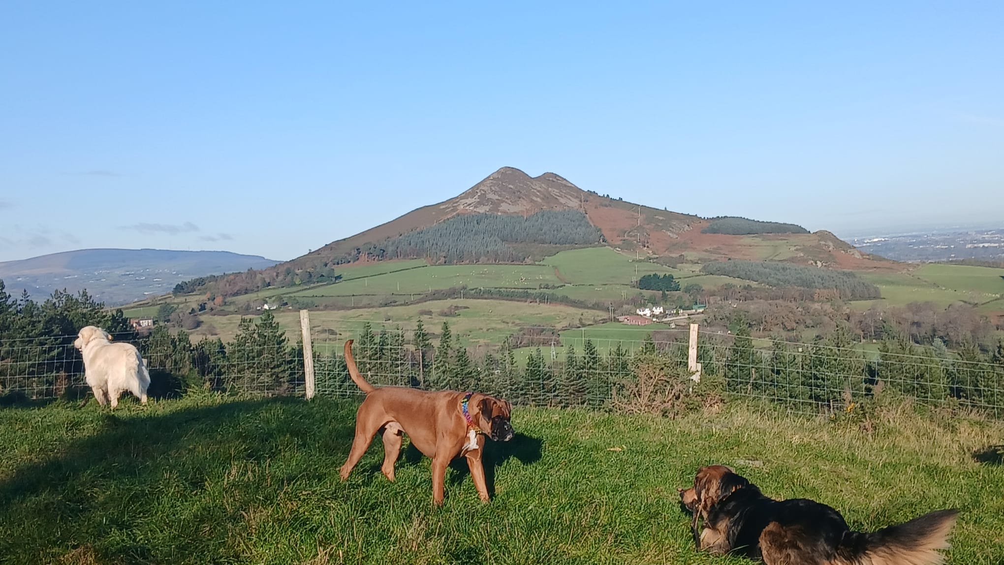 slider image slider_item_xAWfxd