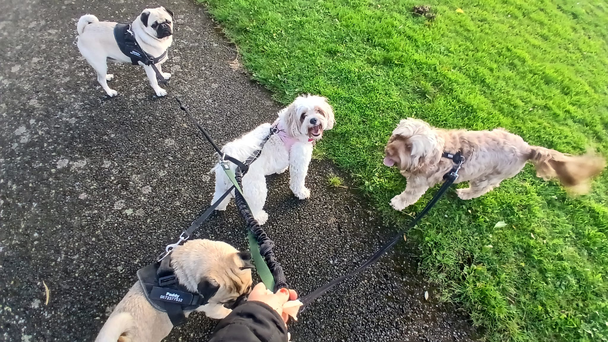 slider image slider_item_VJyxGg